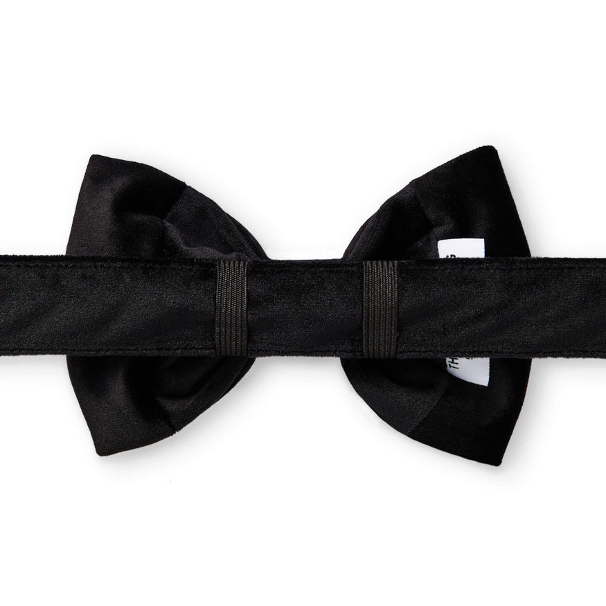Black Velvet Bow Tie Collar – The Foggy Dog